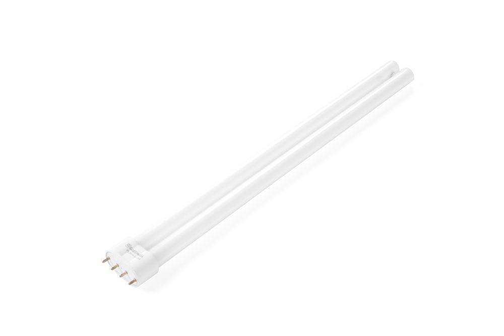 Insect killer with adhesive plate 100 m²