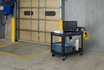 Rubbermaid kar met opstaande rand S zwart