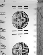 Combi-steamer Silversteam2 10110D