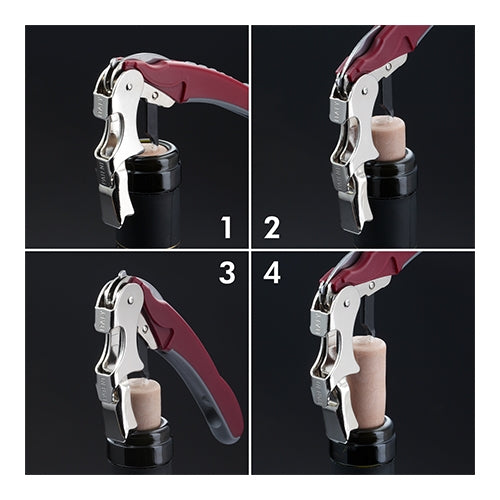 Afbeeldingsbeschrijving