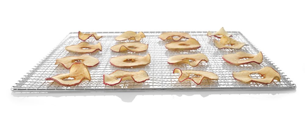 Voedseldroger Profi Line 10 trays