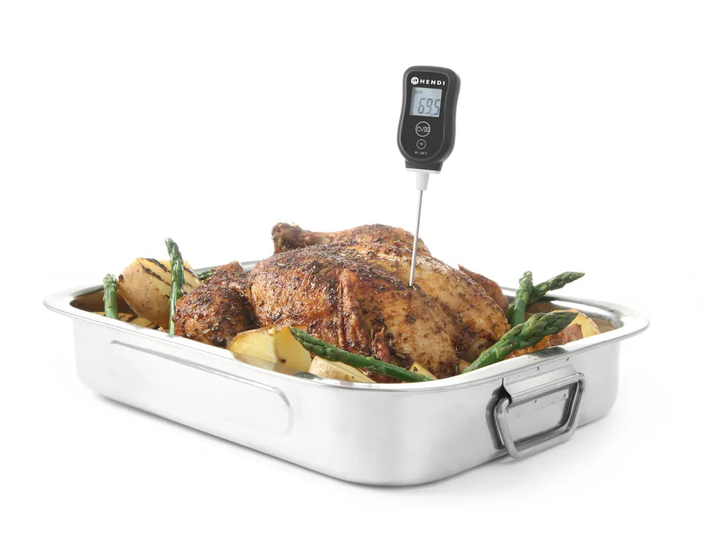 Digitale thermometer met sonde
