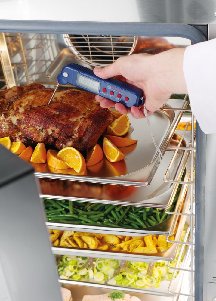 Thermometer met inklapbare sonde