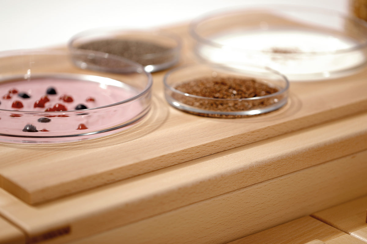 Afbeeldingsbeschrijving