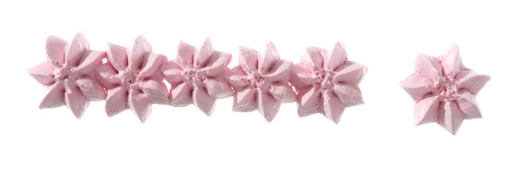 Filling &amp; Decorating Tip Set