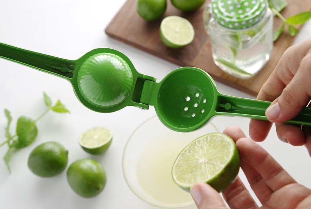Citrus juicer