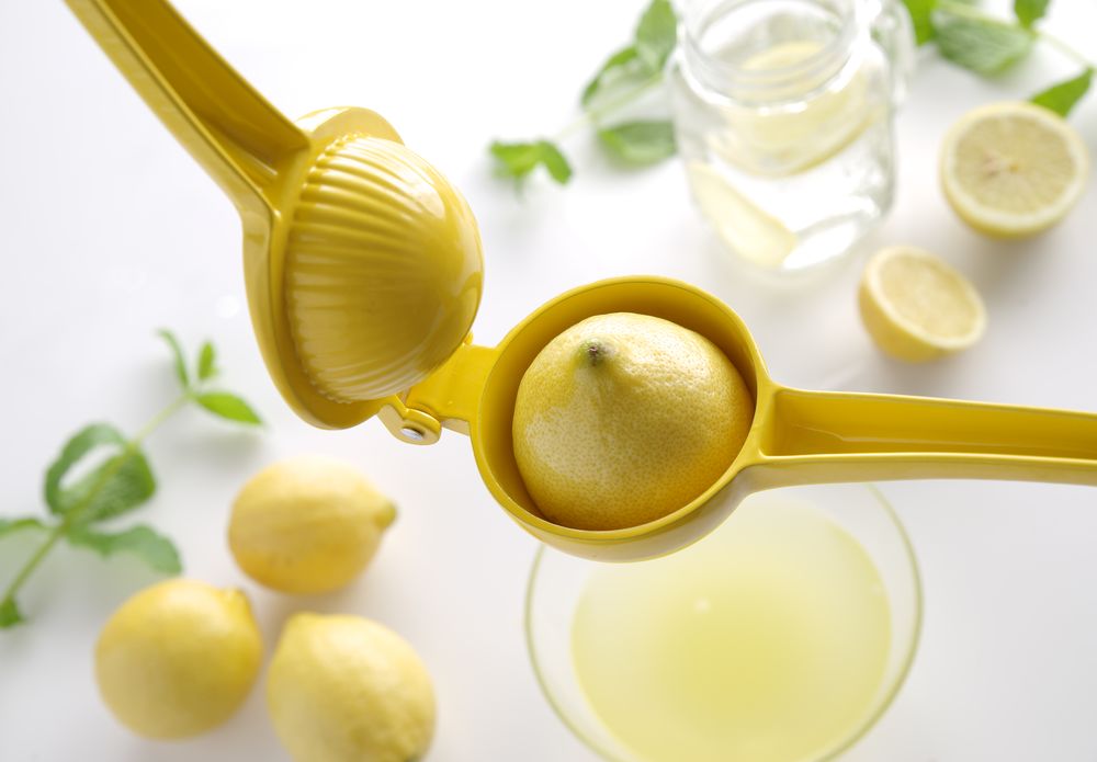 Citrus juicer