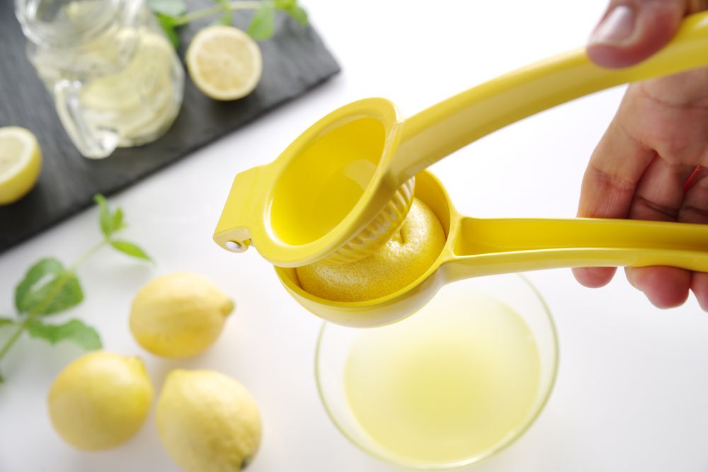 Citrus juicer