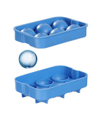 IJsblokjesvorm whisky bol