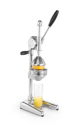 Handmatige citruspers