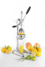 Handmatige citruspers