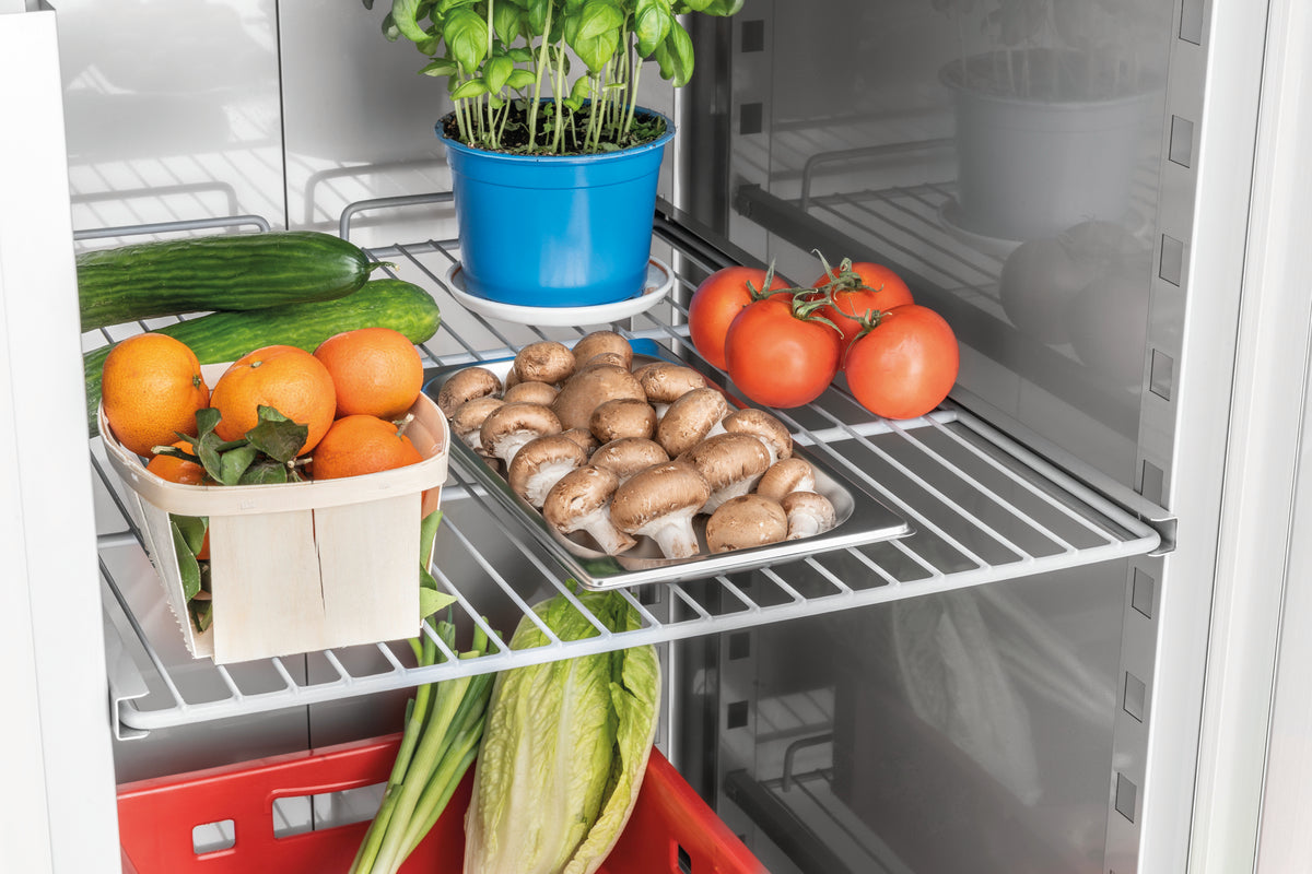 Afbeeldingsbeschrijving