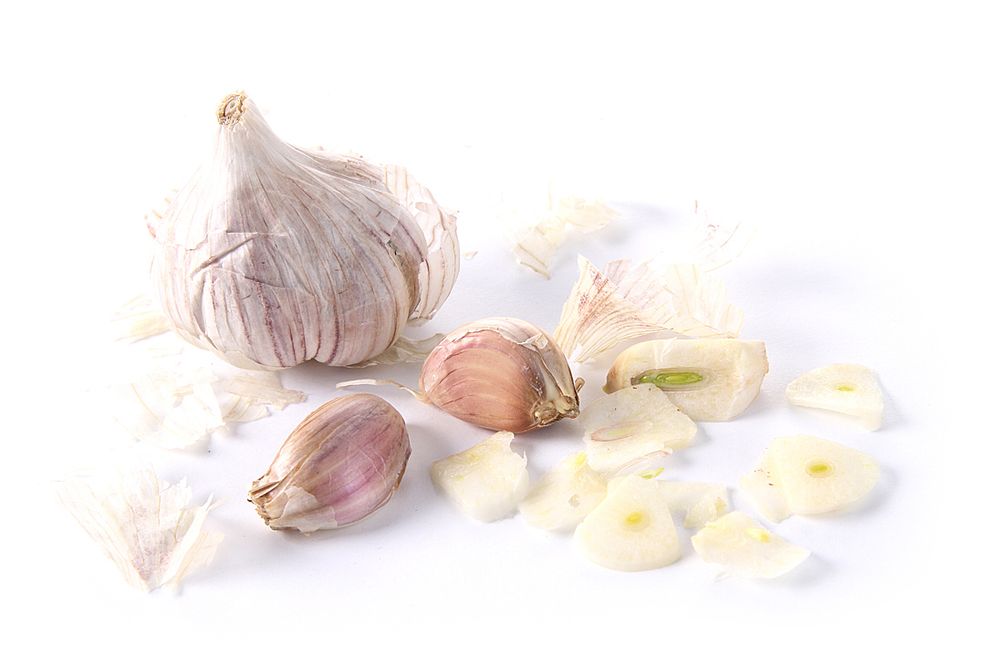 Afbeeldingsbeschrijving