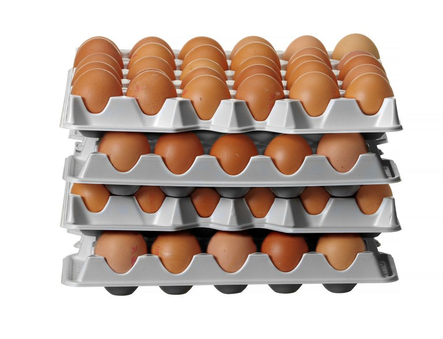 Set van 4 eierbakken voor HENDI OVOBOX 120