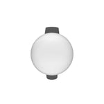 Brabantia NewIcon pedaalemmer 12 liter mat RVS FPP