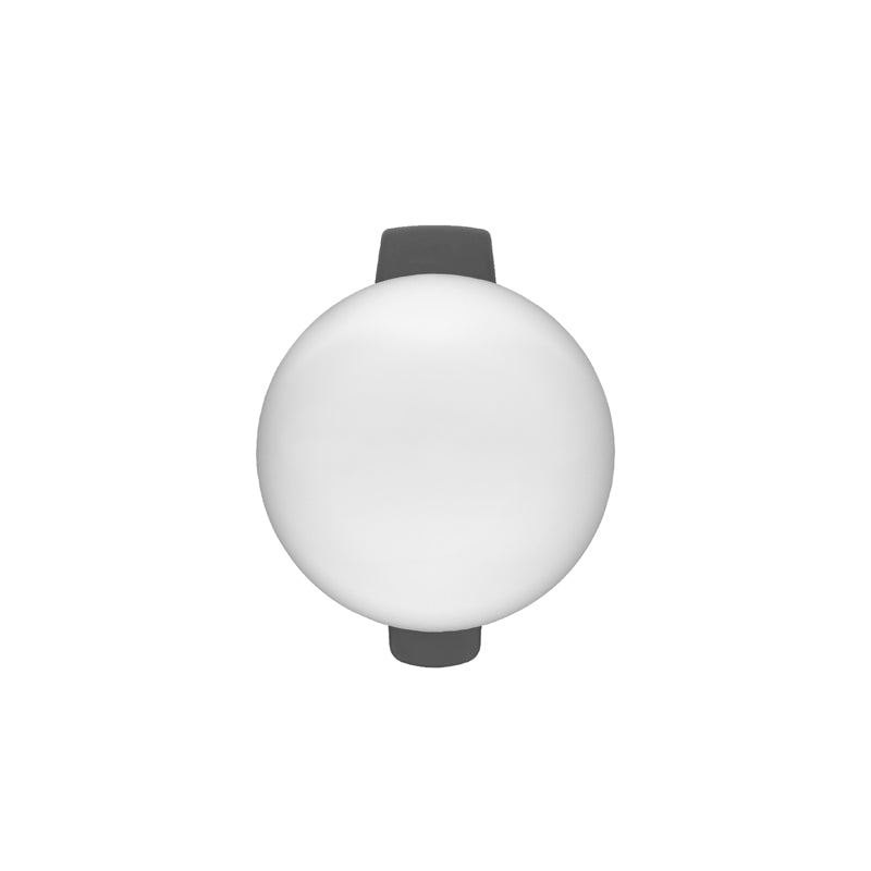 Brabantia NewIcon pedaalemmer 12 liter mat RVS FPP