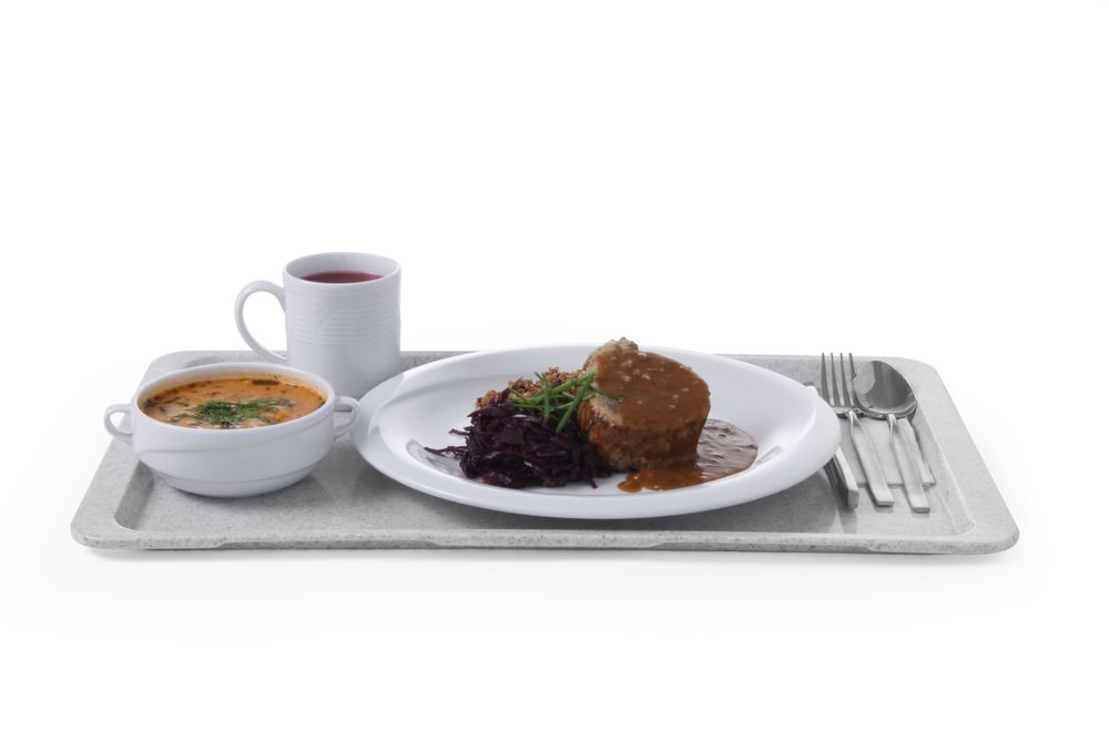 Polyester dienblad voor zelfbedieningsrestaurants