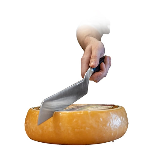 Afbeeldingsbeschrijving