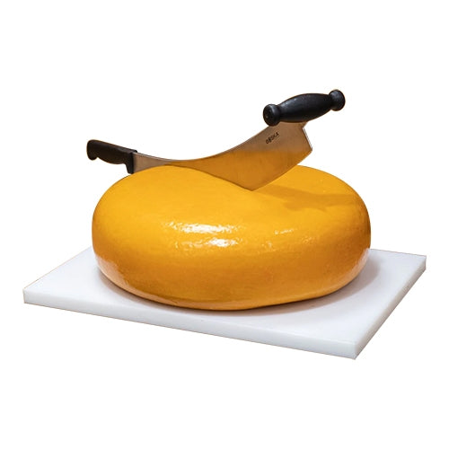 Afbeeldingsbeschrijving