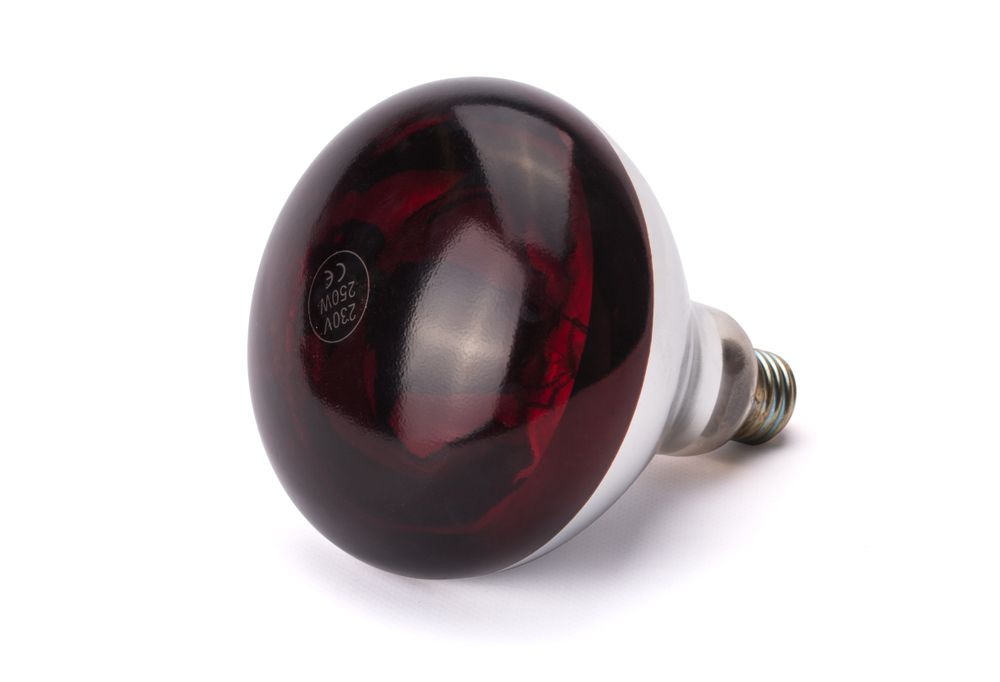 Afbeeldingsbeschrijving