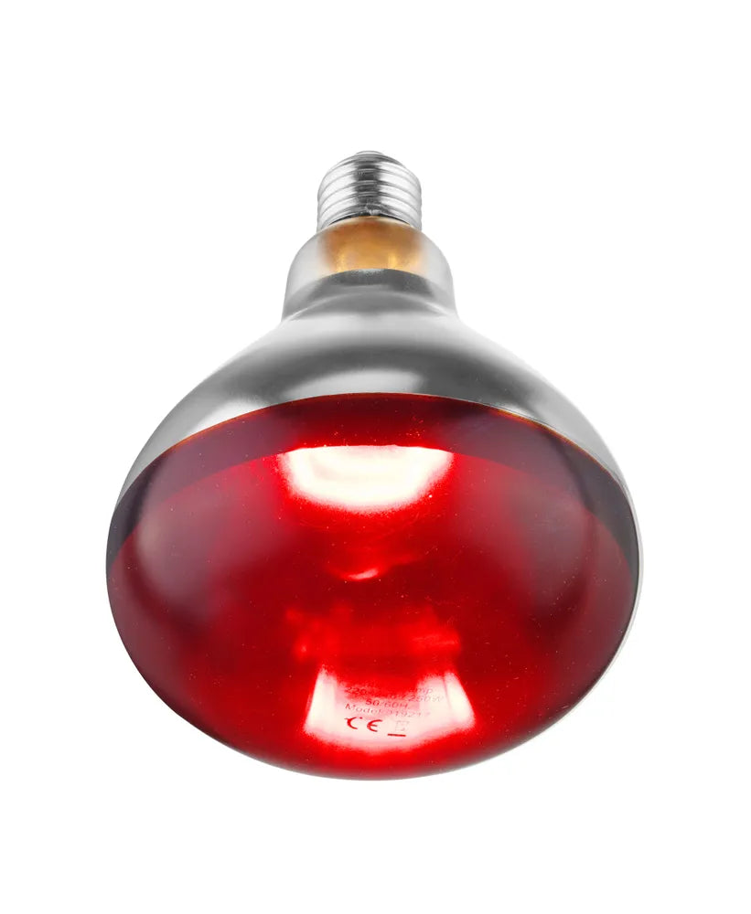 Infrarood warmtelamp