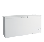 TEFCOLD Diepvrieskist FR605 SL