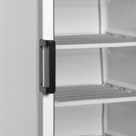 TEFCOLD Vrieskast glasdeur UFFS371G