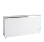TEFCOLD Diepvrieskist FR605S SL
