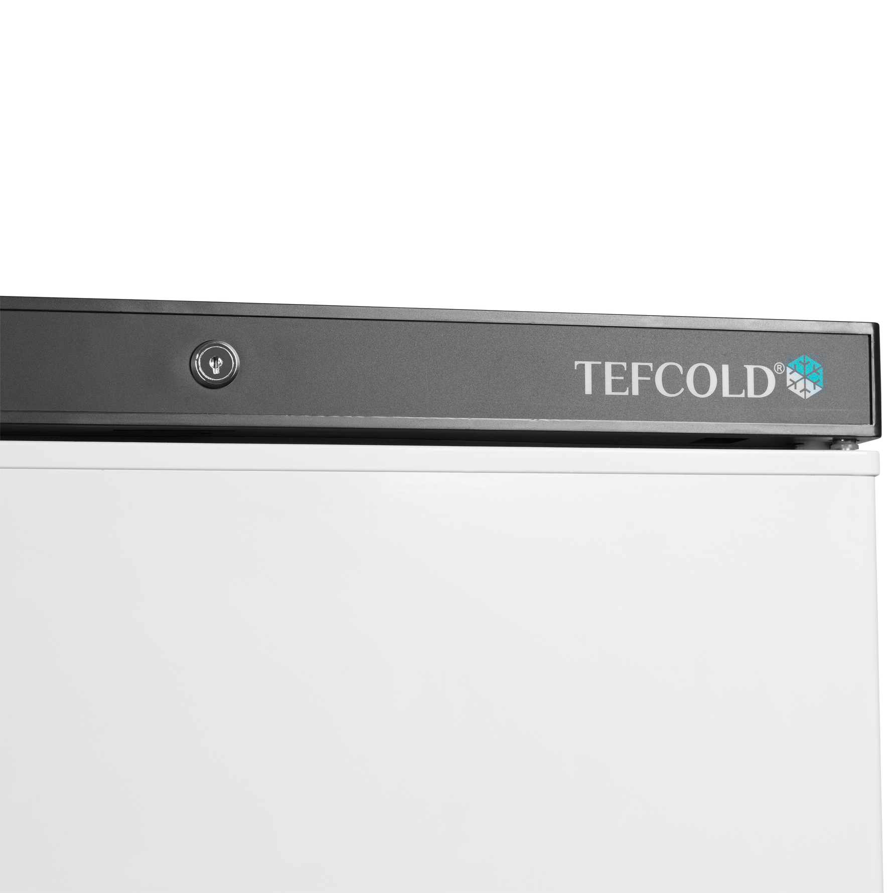 TEFCOLD Opslagvriezer UF200V