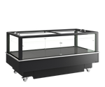 TEFCOLD Zwarte impulskoeler/-vriezer EIB-D1020-B1