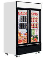 TEFCOLD Displayvrieskast LGF5000
