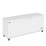 TEFCOLD Diepvrieskist CF700 SL