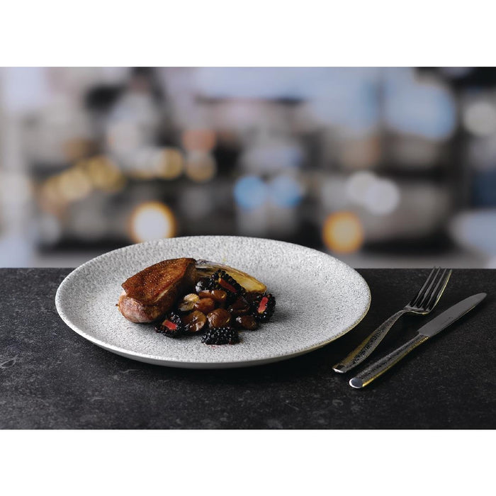 Churchill Raku Jasper Grey Evolve Coupe Bord 22cm (pak van 12)