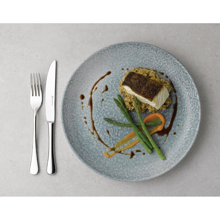 Churchill Raku Topaz Blue Evolve Coupe Kom 24.8cm (pak van 12)