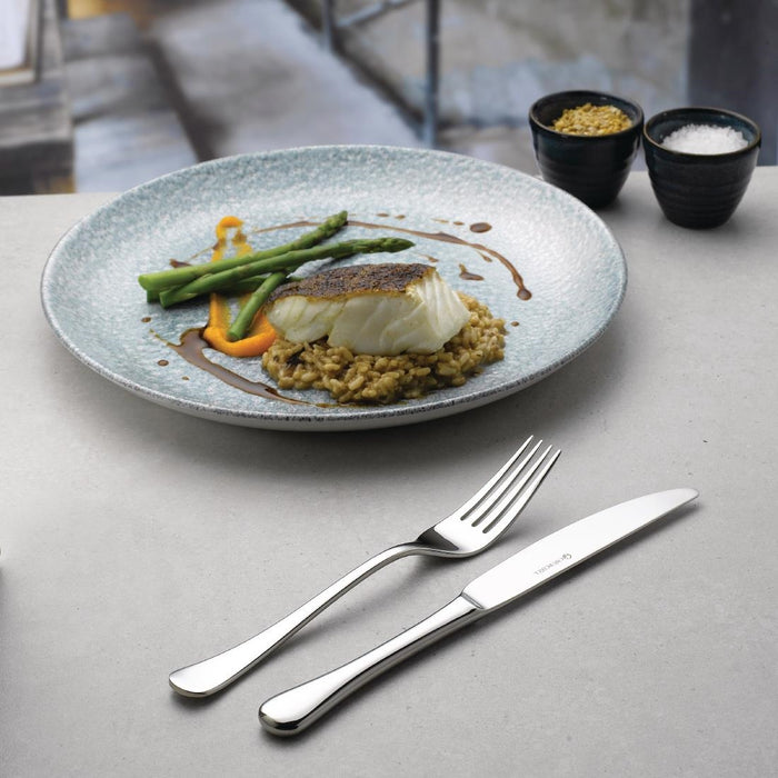 Churchill Raku Topaz Blue Evolve Coupe Kom 24.8cm (pak van 12)