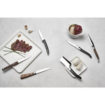 Comas steakmessen Montblanc 23cm (6 stuks)