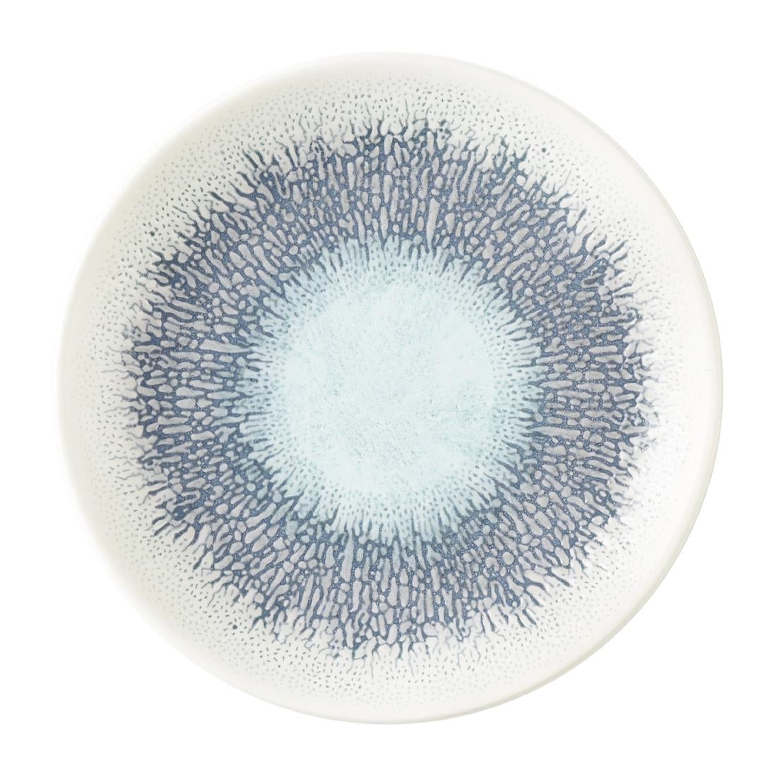 Churchill Studio Prints Evolve Coupe Bord 16.5cm (pak van 12)