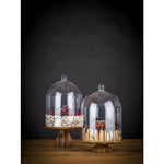 APS Super Dome polycarbonaat cloche 300mm