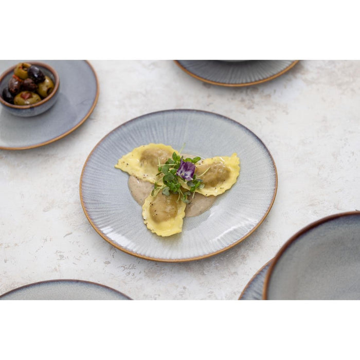 Olympia Drift Grijze Coupe Borden Met Reliëf, 220 mm (Pak Van 6)