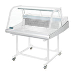 Polar G-serie vis koelvitrine 175L