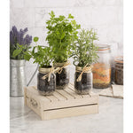 Kilner weckpot met schroefdeksel 0,5L