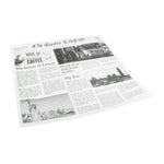 Sier Dispsoabels Vetvrij papier 300 x 300mm (doos 300)