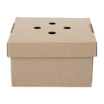 Fiesta Composteerbare Uitklapbare Hamburgerdozen (100 Stuks)