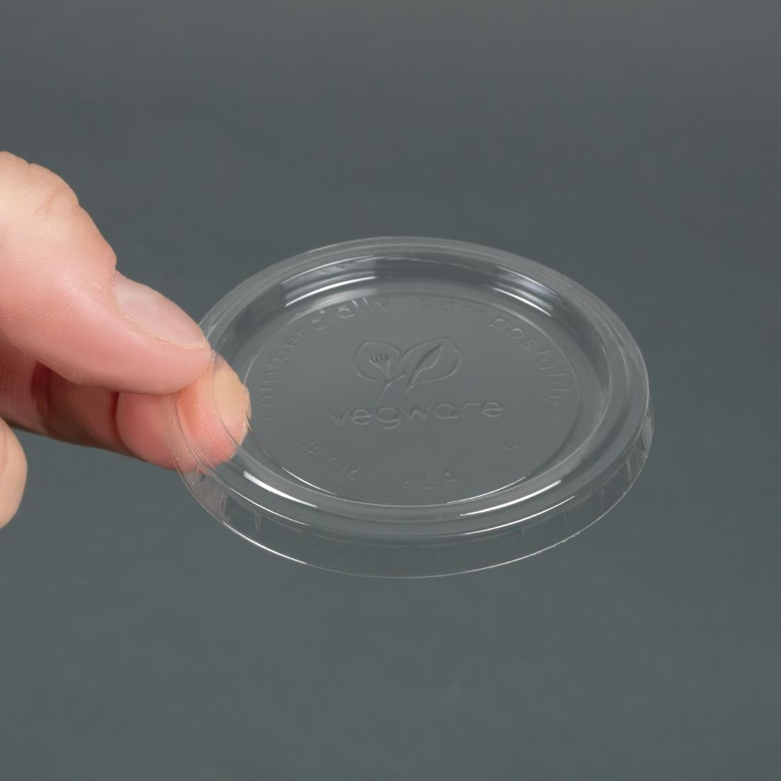 Afbeeldingsbeschrijving