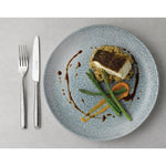 Churchill Raku Topaz Blue Evolve Coupe Kom 24.8cm (pak van 12)