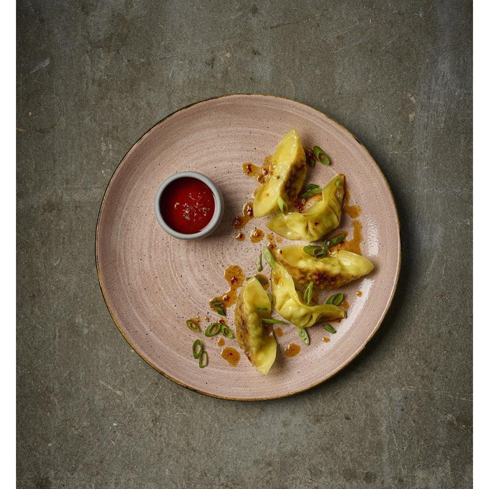 Churchill Stonecast Raw Terracotta Evolve Coupe Borden 286mm (Pak Van 12)