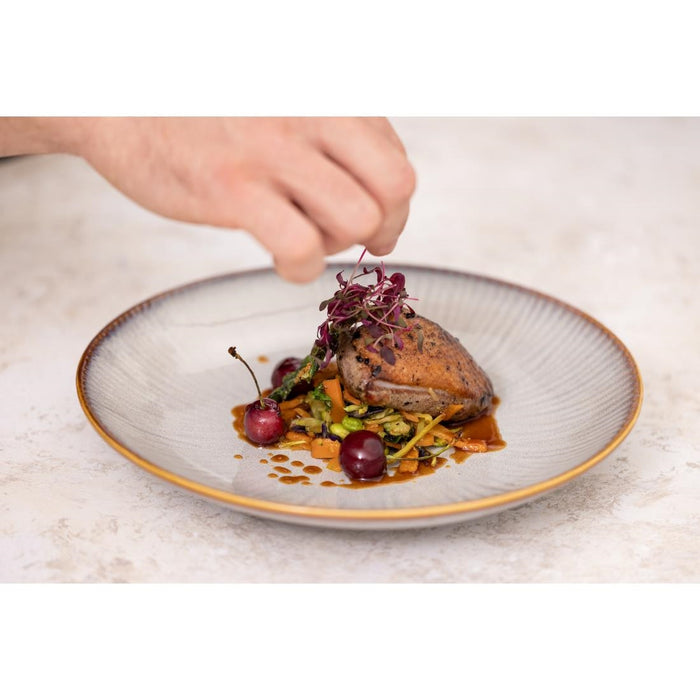 Olympia Drift Grey Coupe Low Bowls Met Reliëf, 260 mm (Pak Van 4)