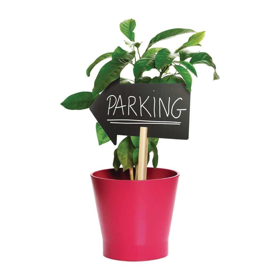 Afbeeldingsbeschrijving