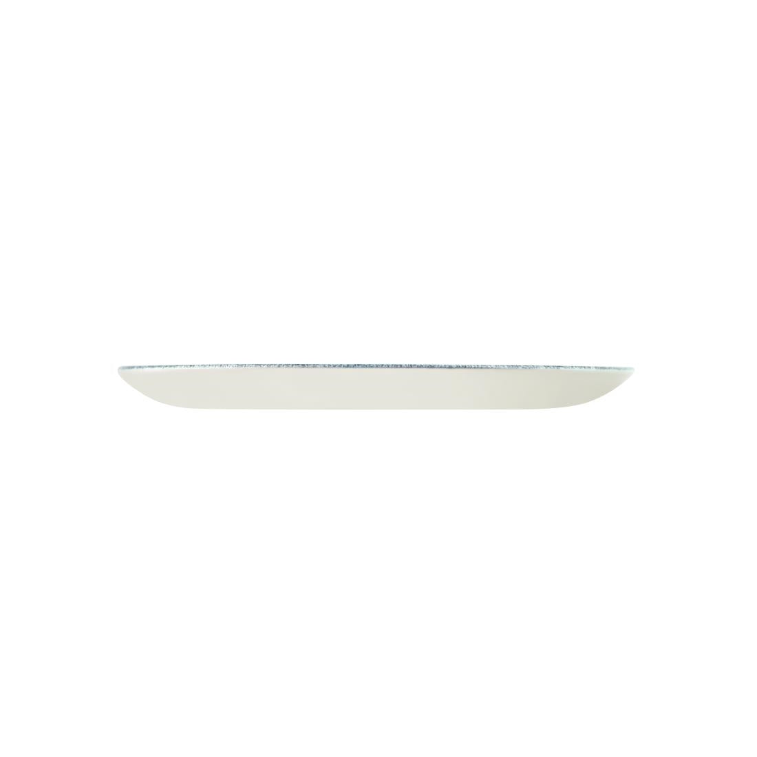 Churchill Raku Topaz Blue Evolve Coupe Bord 28.6cm (pak van 12)