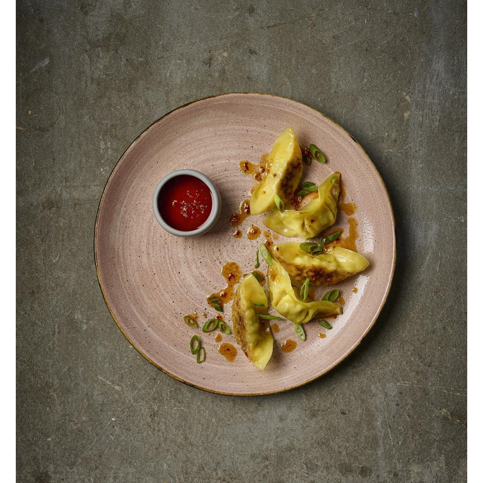 Churchill Stonecast Raw Terracotta Evolve Coupe Borden 165mm (Pak Van 12)